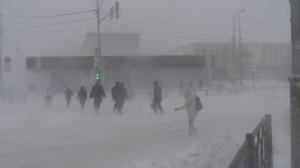 СТИХИЯ ВЕРНУЛАСЬ