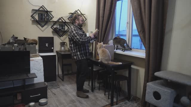 Даже кошкам понравился подарок для мамы Что купил для неё сын на 8-е МАРТА? Распаковка смотреть онлайн