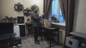 Даже кошкам понравился подарок для мамы Что купил для неё сын на 8-е МАРТА? Распаковка