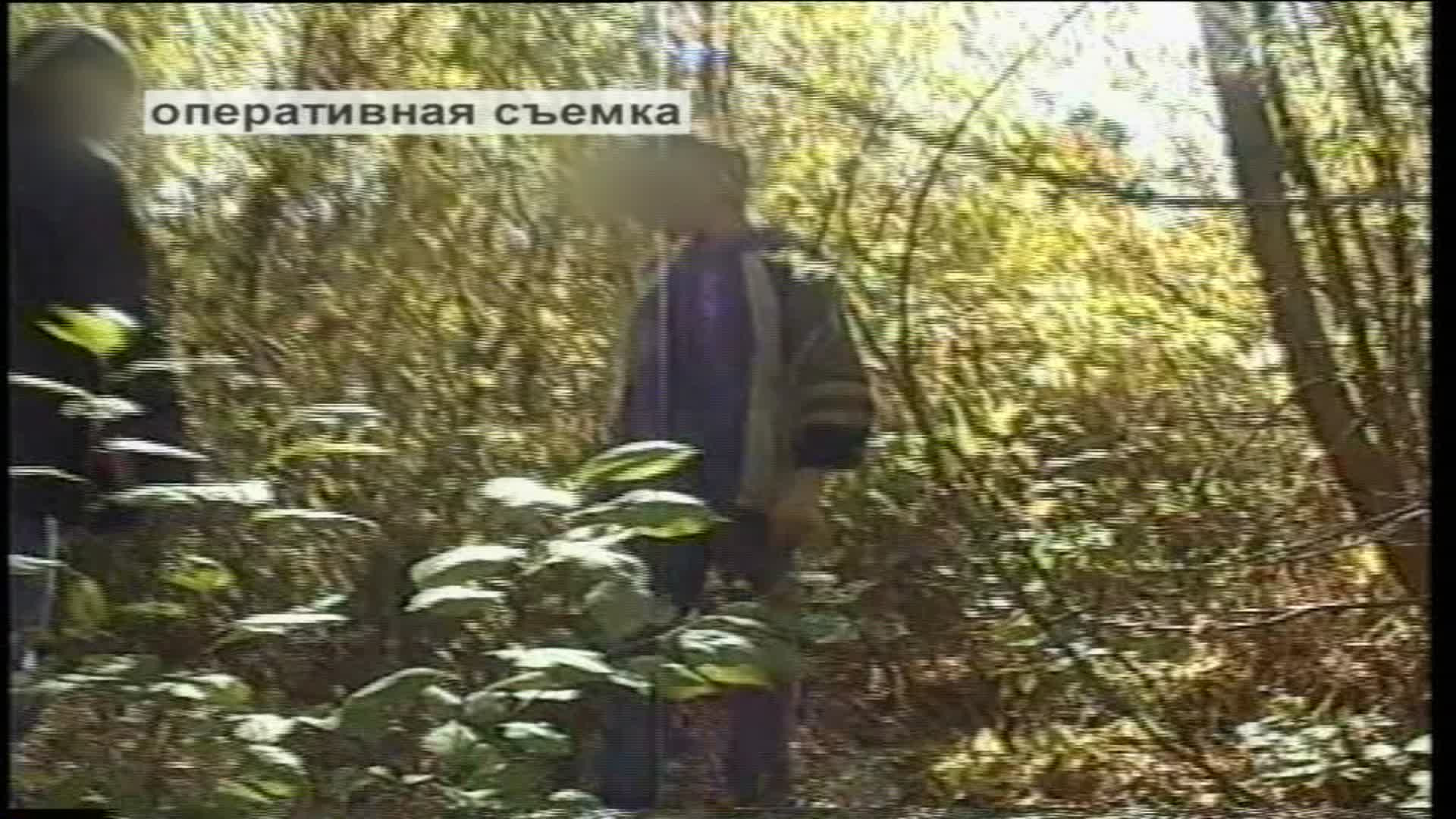 Экстрасенсы ведут расследование, 1 сезон, 34 выпуск