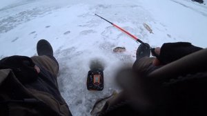 Рыбалка, гдето на Псковском озере