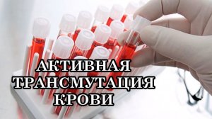 АКТИВНАЯ ТРАНСМУТАЦИЯ КРОВИ. Приход на Землю трансмутирующих энергий изменит кровеносную систему