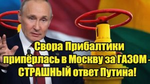 Свора Прибалтики припёрлась в Москву за ГАЗОМ - СТРАШНЫЙ ответ Путина!