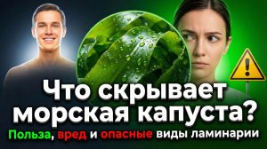 Что скрывает морская капуста: польза, вред и опасные виды ламинарии