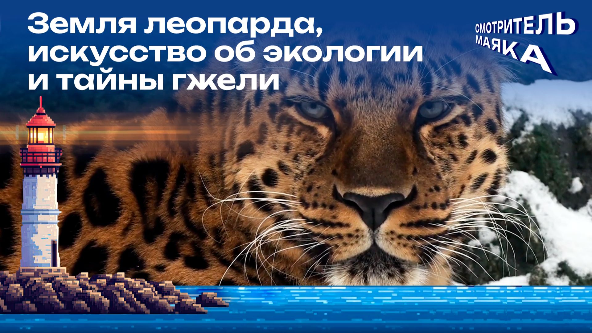 Земля леопарда, искусство об экологии и тайны гжели | Смотритель маяка с Романом Маякиным