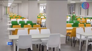 Когнитивная Витаминка № 312