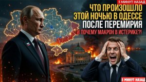 17 французов захвачены Альфой без выстрела: ловушка перемирия