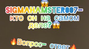 😍. Вопрос- ответ на канале SigmaHamster007 уже тут! 😍