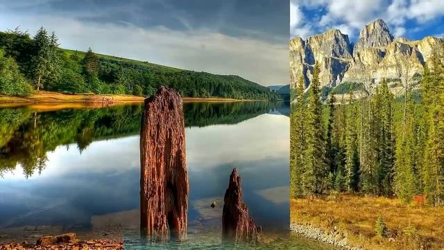 Шедевры инструментальной музыки часть 5