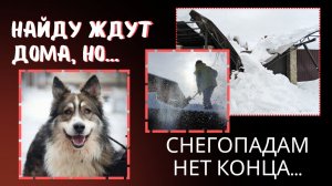 Люди! Как вы живёте? Мы никак... 😢