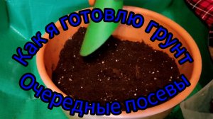 Посев продолжается, как я готовлю грунт