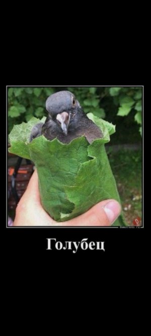 Играем в мёртвый лес // сорри что без предупреждения транса