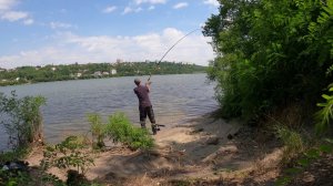 Два карасика, дождь и тишина