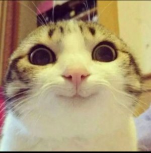 разговариваем