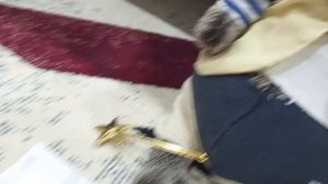 школа басиков часть