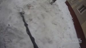 Кольцо из золота упало в снег