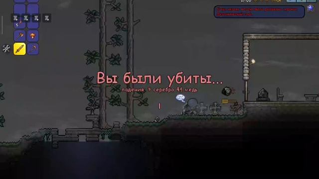 первое видео по террариум