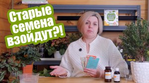 4 способа пробудить старые семена!