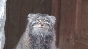 Московский зоопарк 2024 3