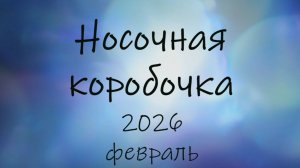СП "Носочная коробочка - 6" с Катериной Шурм. Отчет февраля.