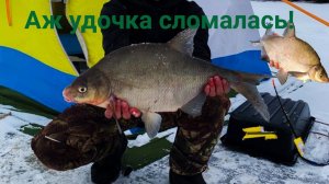 Зимняя рыбалка на леща  Гиганты ломают удочки и путают снасти  Сидим в палатке с печкой