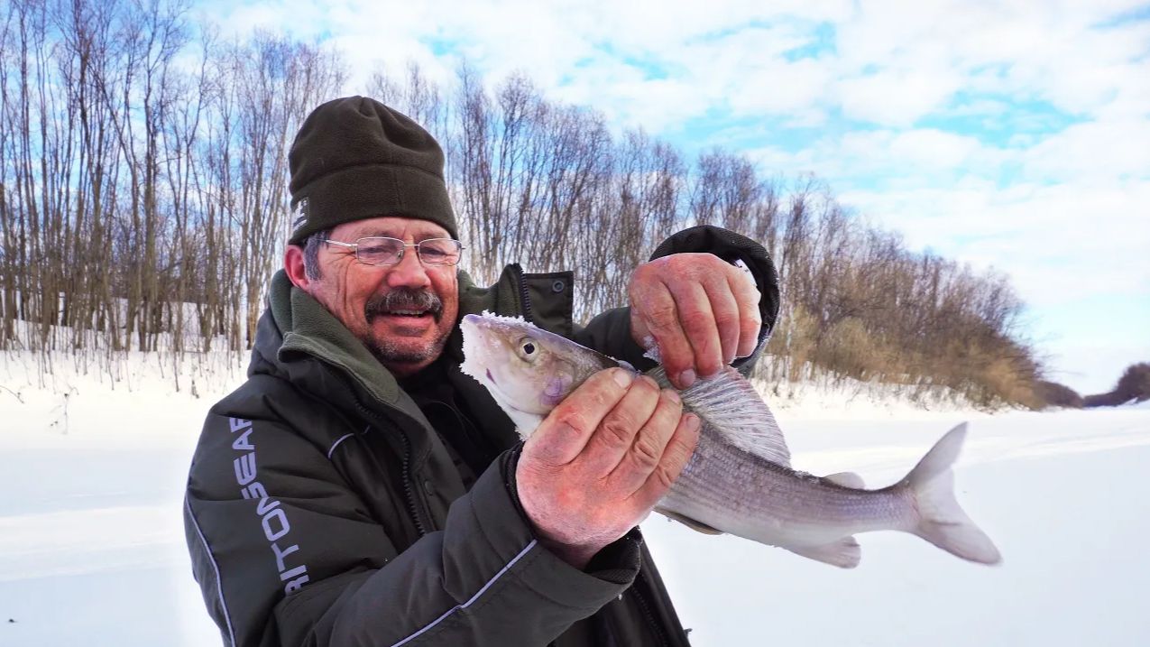 БАТЯ В ШОКЕ! УДОЧКИ УТОПЛЕНЫ, МОРМЫШКИ ОТОРВАНЫ! 7 ДНЕЙ В ПАЛАТКЕ. ЭКСПЕДИЦИЯ НА ПЕЧОРУ. Часть 3 смотреть онлайн