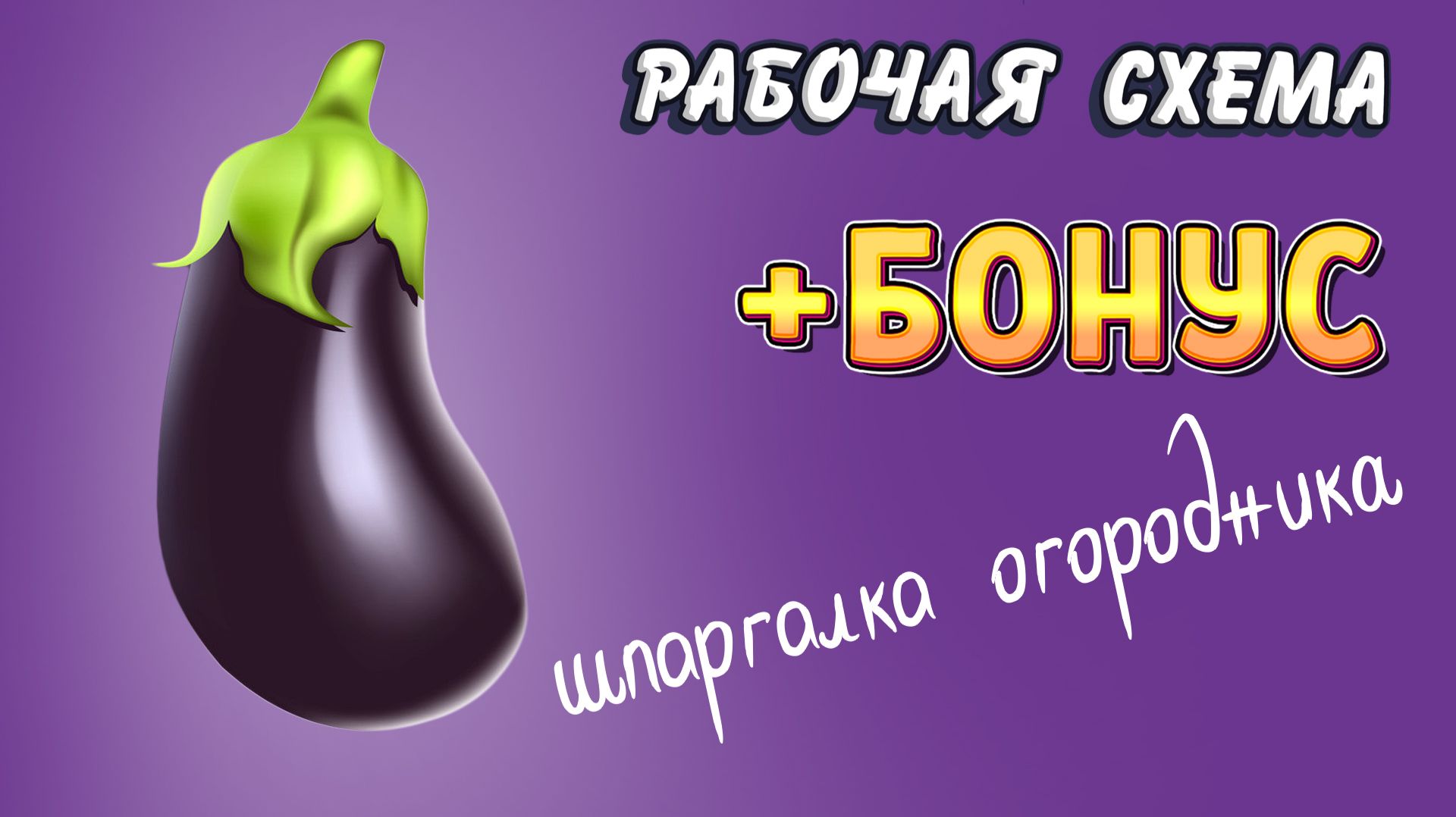 БАКЛАЖАН. Полный цикл: от посева до сбора урожая и способа хранения. Все тонкости и секреты