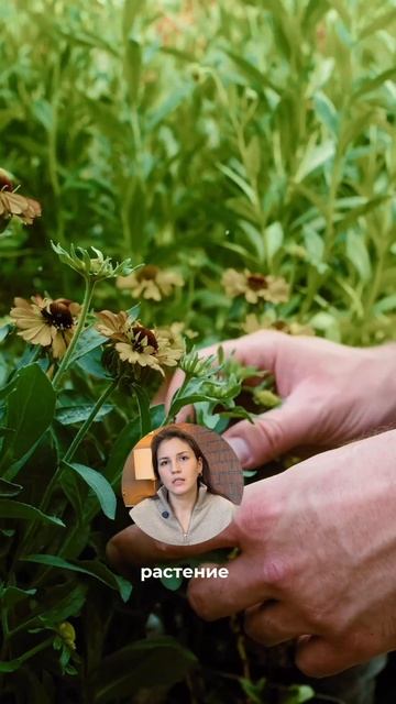 Часто благоустройство воспринимают как финальную точку.