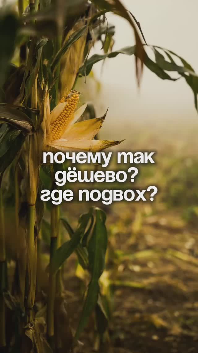 Почему наши участки стоят недорого? | Крымский Гектар