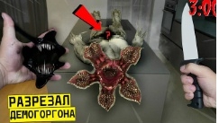 внутри было это разрезал  Дима каргона ральны