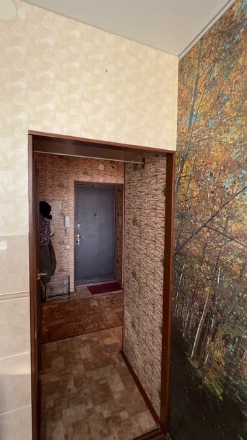 Продается 1-ная квартира с мебелью и техникой район Черемушки, ул. Гагарина, гор. Александров смотреть онлайн