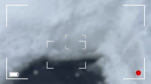 Запуск форели