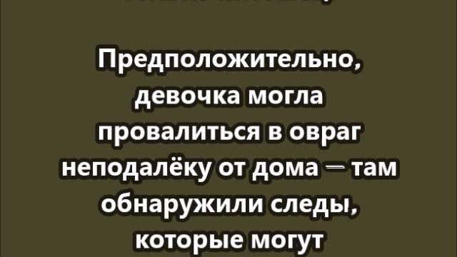 В Смоленске пропала 9-летняя девочка, вернулся только её пес смотреть онлайн