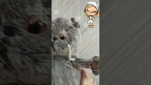 🧸✌дегустируем желе из пятерочки#желе#желеизпятерочки🥄🥐