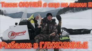 ПОЙМАЛИ КРУПНЫХ ОКУНЕЙ !!! РЫБАЛКА В ГЛУХОЗИМЬЕ /// СКАЛА ВОЖДЕЙ .