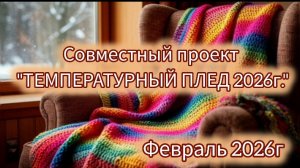СП «Температурный плед с Катериной Шурм" 2026 / февраль / участник 40
