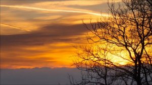 Срочно. Гороскоп на 25 февраля. Это знают единицы.