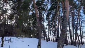 Журавлёв life. Река Псёл разливается всё больше и больше. Здесь живут люди. Осталось 2 м