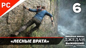 Прохождение Star Wars Jedi Survivor: Без Комментариев — Часть 6: «Лесные Врата»