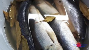 Как засолить селедку в домашних условиях.