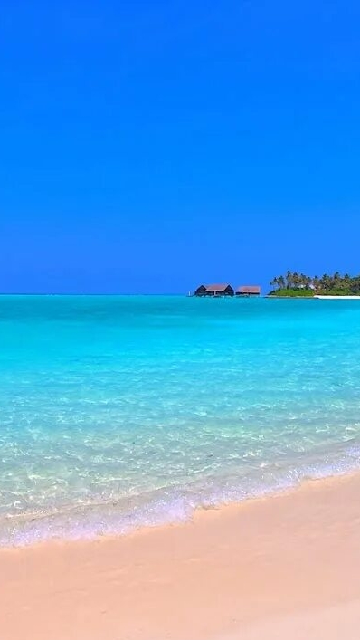 KISS ME - $ FRAME-DRAGGING $ - ОПТИМИСТИЧНАЯ