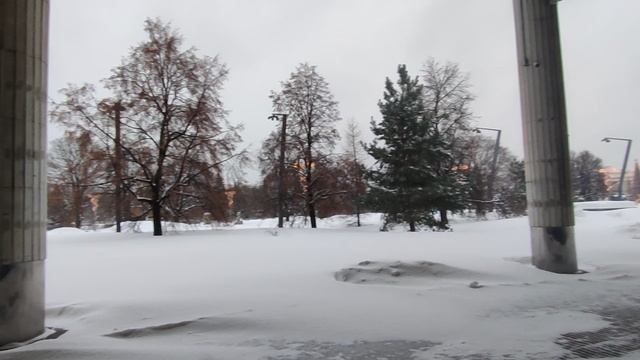 Сварила гороховый суп Пожарила рыбу.