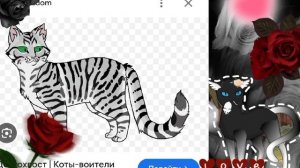 то п 4 моих любимых❤ персонажей КВ