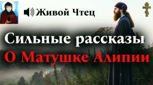 ВРАЧИ ОТКАЗАЛИСЬ ОТ РЕБЕНКА, НО СУХАРИК СОТВОРИЛ ЧУДО... Сильные рассказы о Матушке Алипии.