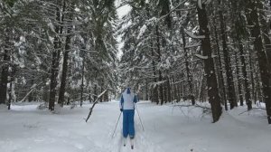 Лыжное. Лесное. Показываем. 22.02.2026