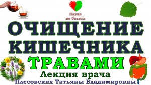 ТРАВЫ для ОЧИЩЕНИЯ КИШЕЧНИКА и ОРГАНИЗМА от ШЛАКОВ и ТОКСИНОВ