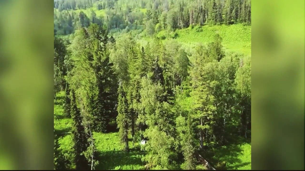 Заповедник *Кузнецкий Алатау* смотреть онлайн