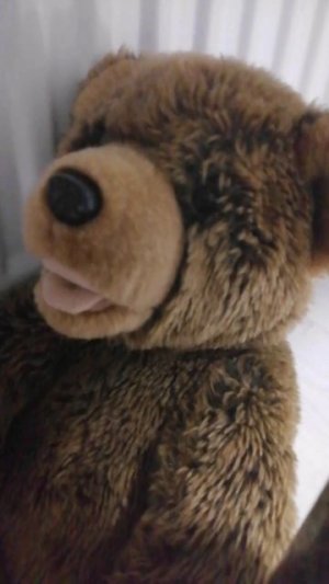 Котькинажизнь.mp4