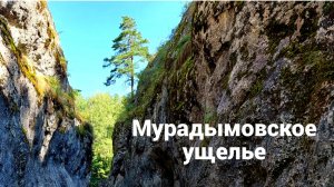 Мурадымовское ущелье Природа Башкортостана