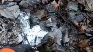 Коп по старому хутору ,много битой посуды.